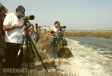 Bird Watchers